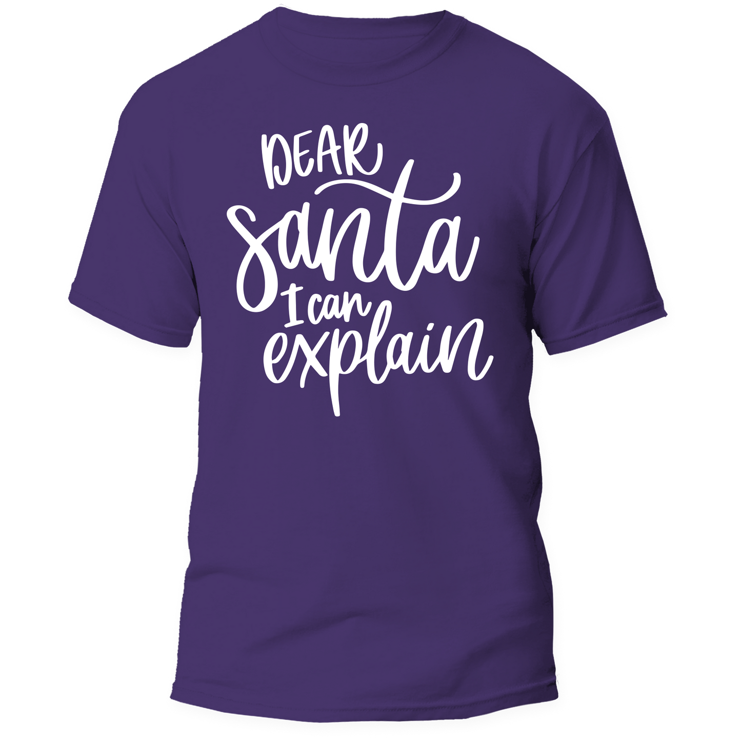 Dear Santa I Can Explain Shirt